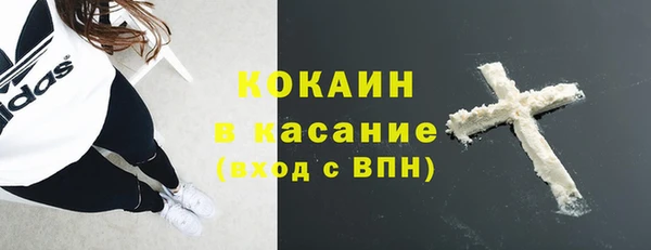 молекула духа Арсеньев