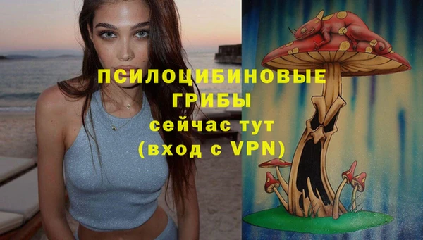 молекула духа Арсеньев