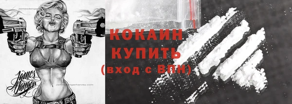 соль ск Алзамай